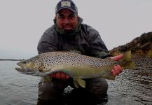Chelo . 's Fly-fishing Pic of a German brown – Fly dreamers 