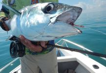 Richard Carter 's Fly-fishing Picture of a Longtail Tuna – Fly dreamers 