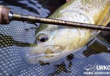 Uros Kristan 's Fly-fishing Photo of a Marble Trout – Fly dreamers 