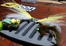Brian Shepherd 's Fly Picture – Fly dreamers 