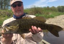 Fly-fishing Picture of Smallmouth Bass shared by Maine Fishing Adventures | Fly dreamers