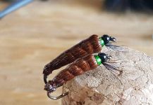 Dwayne CMS Flies 's Fly-tying for German brown - Picture – Fly dreamers 