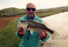  Foto de Pesca con Mosca de green trout por Douglas Caberlon – Fly dreamers 