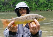  Interesante Fotografía de Pesca con Mosca compartida por Taylor Brown – Fly dreamers