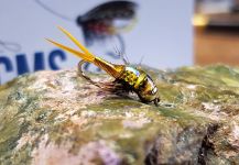 Fotografía de atado de moscas para Trucha marrón por Dwayne CMS Flies – Fly dreamers 