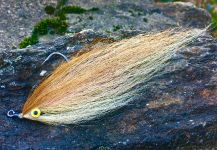 Fly-tying Picture by Jason Taylor 