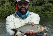 Impressive Fly-fishing Situation of Matrinxá - Image shared by Guímel Cursino – Fly dreamers
