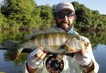 Peacock Bass Fly-fishing Situation – Guímel Cursino shared this Good Image in Fly dreamers 