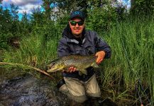 Alexander Lexén 's Fly-fishing Pic of a Salmo trutta – Fly dreamers 