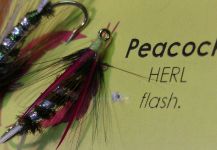 PRINCE –Peacok Herl Flash