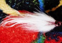 Jack Denny 's Fly for Striper - – Fly dreamers 