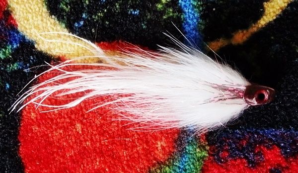 Looking for a fly with lots of action so this is what I came up with. Tail ostrich feather over sparse bucktail, then marabou, the artic fox mixed with some some flash. then a pink guinea hen finally a pinkish Fish Skull. 