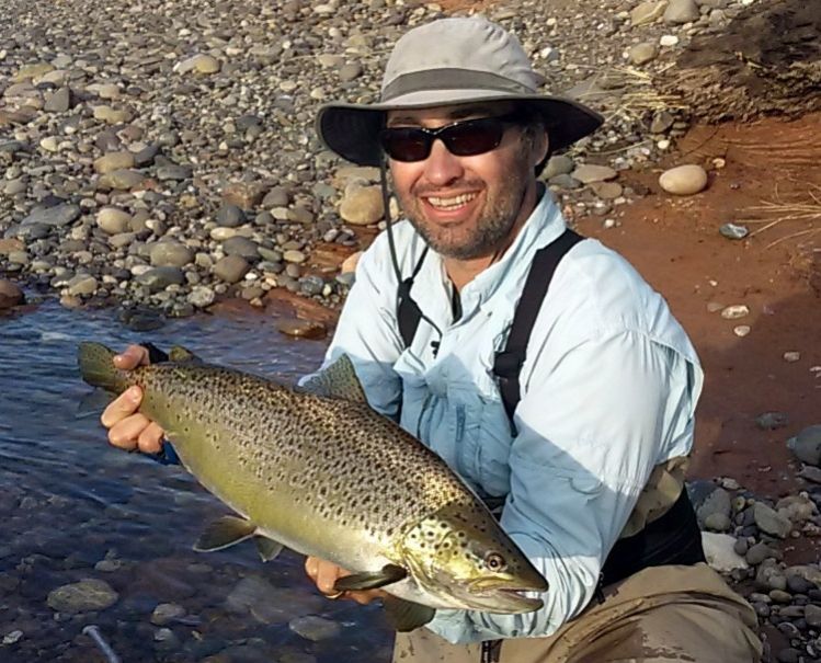 Patagonia brown trout