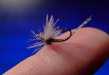 Fly for Rainbow trout - Pic shared by Carlos Estrada – Fly dreamers 