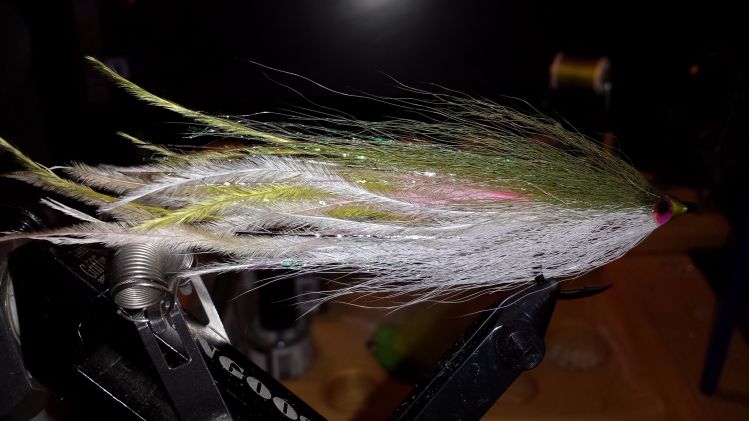My Favorite Hollow fly at the moment...snook like,,,Albies totally destroyed...left friday with none for beach next day!