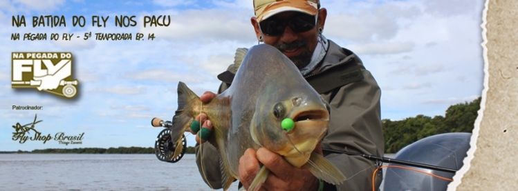 Pacu on the Fly!