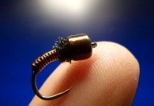Carlos Estrada 's Fly-tying for Rainbow trout - Photo – Fly dreamers 