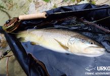 Fly-fishing Pic of Marble Trout shared by Uros Kristan – Fly dreamers 