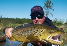 Fly-fishing Picture of Loch Leven trout German shared by Alexander Lexén – Fly dreamers