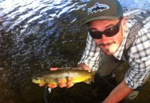 Kevin Bache 's Fly-fishing Pic of a Brownie – Fly dreamers 