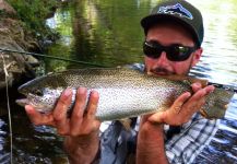 Kevin Bache 's Fly-fishing Pic of a Rainbow trout – Fly dreamers 