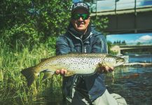 Alexander Lexén 's Fly-fishing Catch of a Salmo fario – Fly dreamers 