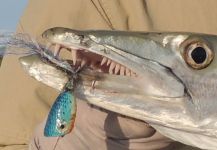Fly-fishing Pic of Barracuda shared by Carlos Benarducci – Fly dreamers 