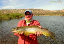 Fly-fishing Picture of English trout shared by Esteban Urban – Fly dreamers