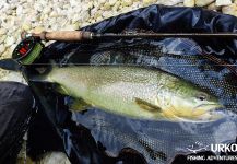Uros Kristan 's Fly-fishing Photo of a Marble Trout – Fly dreamers 