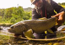 Jean Sylvain Amy 's Fly-fishing Image of a Browns – Fly dreamers 