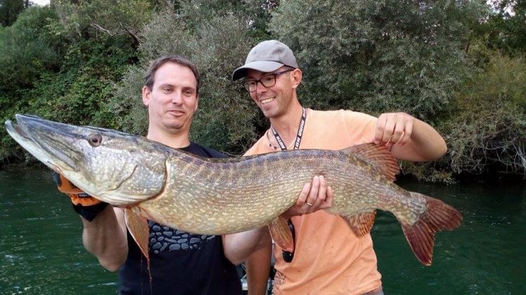 Monster pike catched by my customer this week... Rhin river in France !