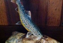 Jim Wiley's Cool Fly-fishing Art Pic – Fly dreamers 