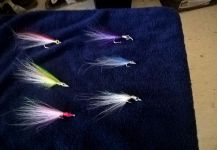 Kellyanne Gill 's Fly-tying for Western Australian salmon - Photo – Fly dreamers 