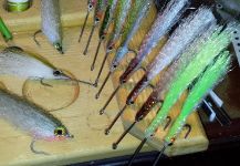 David Bullard 's Fly-tying for Other Species - Picture – Fly dreamers 