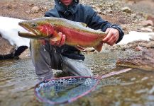  Fotografía de Pesca con Mosca de Trucha arcoiris por Jared Martin – Fly dreamers 