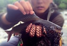  Fotografía de Pesca con Mosca de Grayling por 海洋 银 | Fly dreamers 