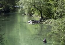 Marble Trout Fly-fishing Situation – Marco Vigano shared this Image in Fly dreamers 