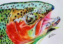  Interesante Foto de Arte de Pesca con Mosca compartida por Rosi Oldenburg – Fly dreamers