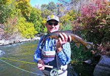 Brownie Fly-fishing Situation – Mark Greer shared this Image in Fly dreamers 