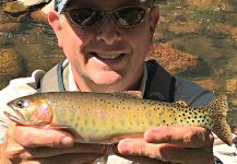 Fly-fishing Picture of Cut shared by Mark Greer – Fly dreamers
