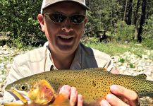 Mark Greer 's Fly-fishing Catch of a Yellowstone cutthroat – Fly dreamers 