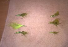  Mira esta fotografía de atado de moscas para Otras especies de Kellyanne Gill – Fly dreamers