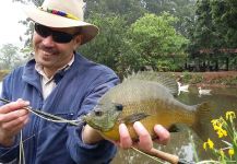 Oliver Otto 's Fly-fishing Image of a Bluegill – Fly dreamers 