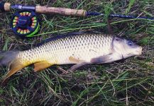 The Lucky Flyfisher 's Fly-fishing Image of a Carp – Fly dreamers 