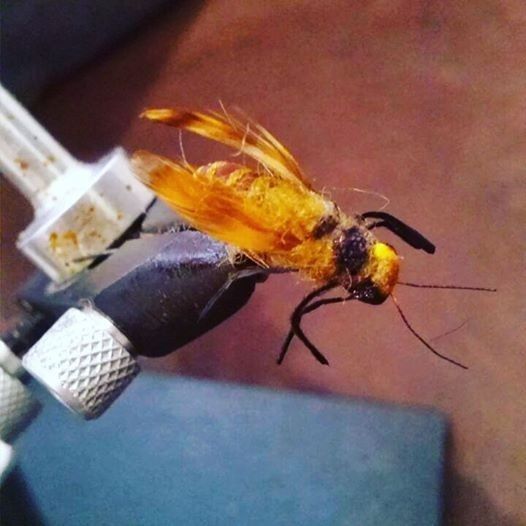 mosca, abeja