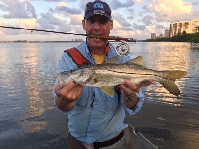 GREAT morning today!..smaller jacks and ladyfish almost every cast..and then this snook on 3wt!!!!!!!!!fishing has really improved past 2 weeks