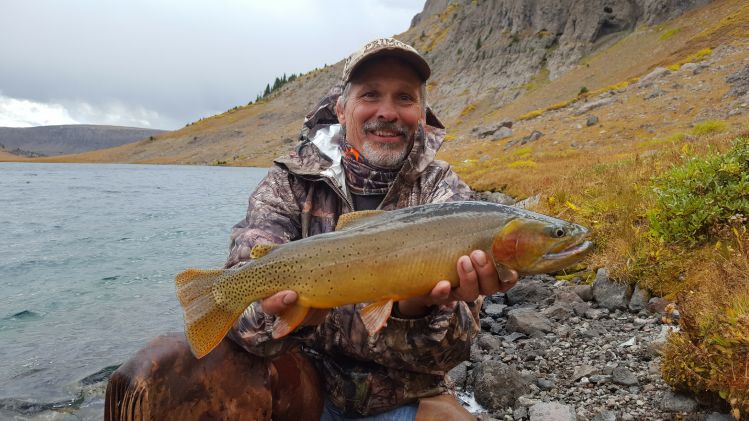 This is a Yellowstone  cut I was on an annual elk hunt in the upper Yellowstone and we fish the lakes that are at 10,000 feet and the fish are great. I used a fly that I tie called a double D leach 