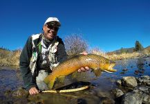 Fly-fishing Pic of Salmo trutta shared by Brian Macalady | Fly dreamers 