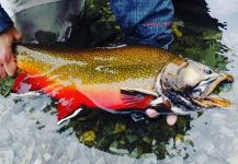  Foto de Pesca con Mosca de Brookie compartida por Mymflycast Mundiñano | Fly dreamers