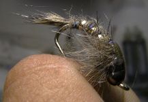  Foto de Atado de moscas para Trucha arcoiris compartida por Fabian  Espinoza Instructor De Atado  | Fly dreamers